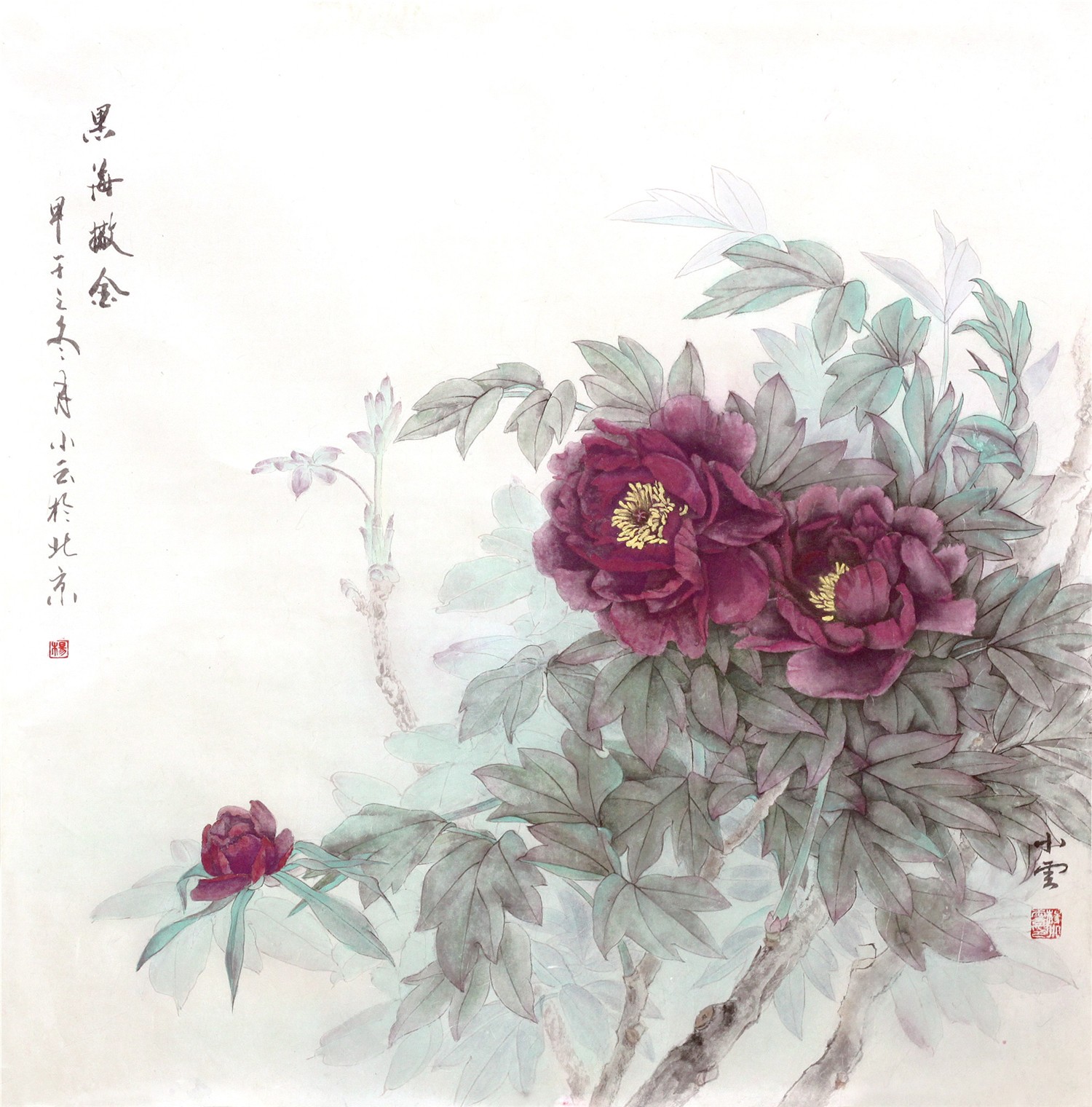 黑海洒金.jpg