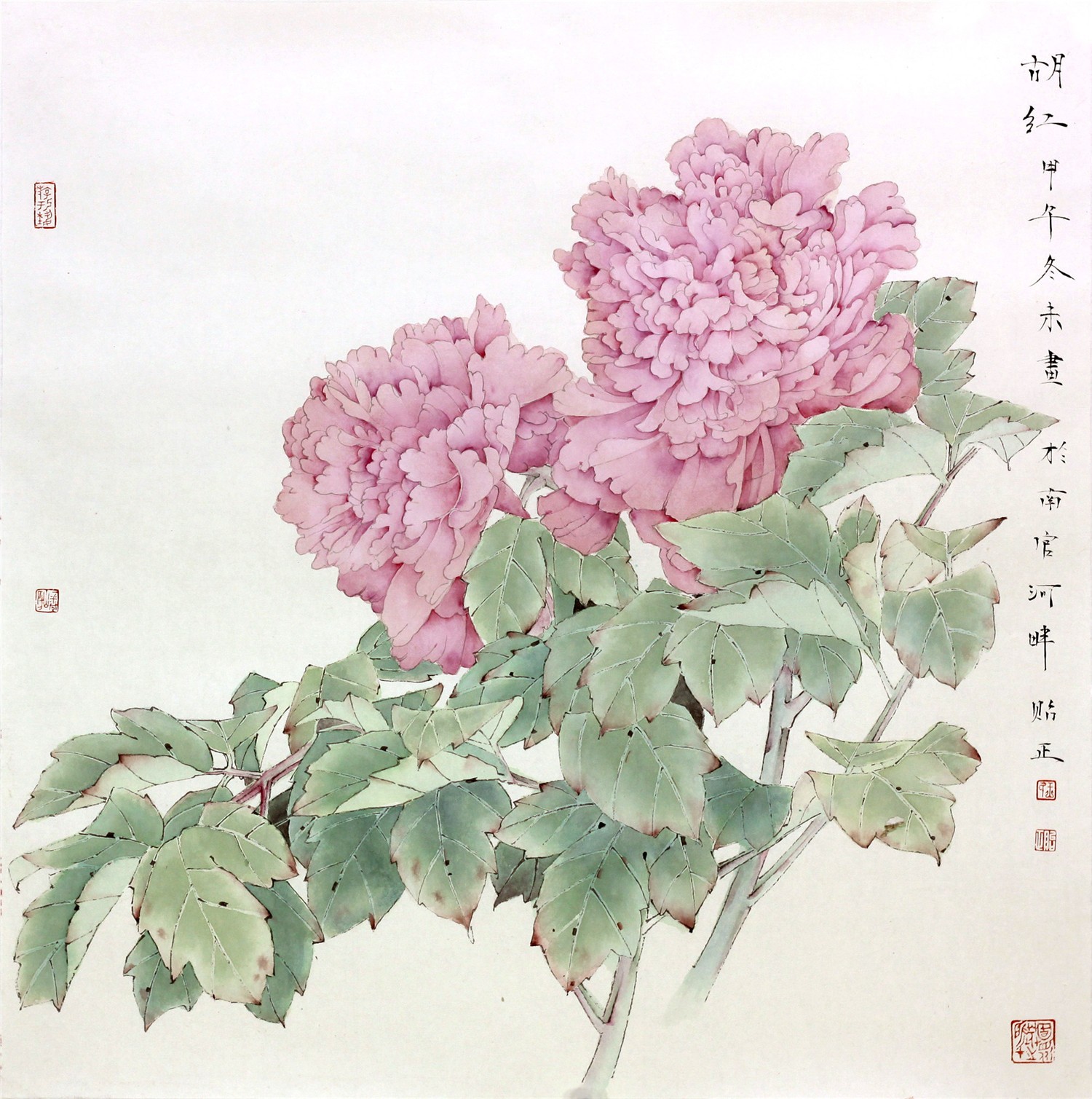 胡红.jpg