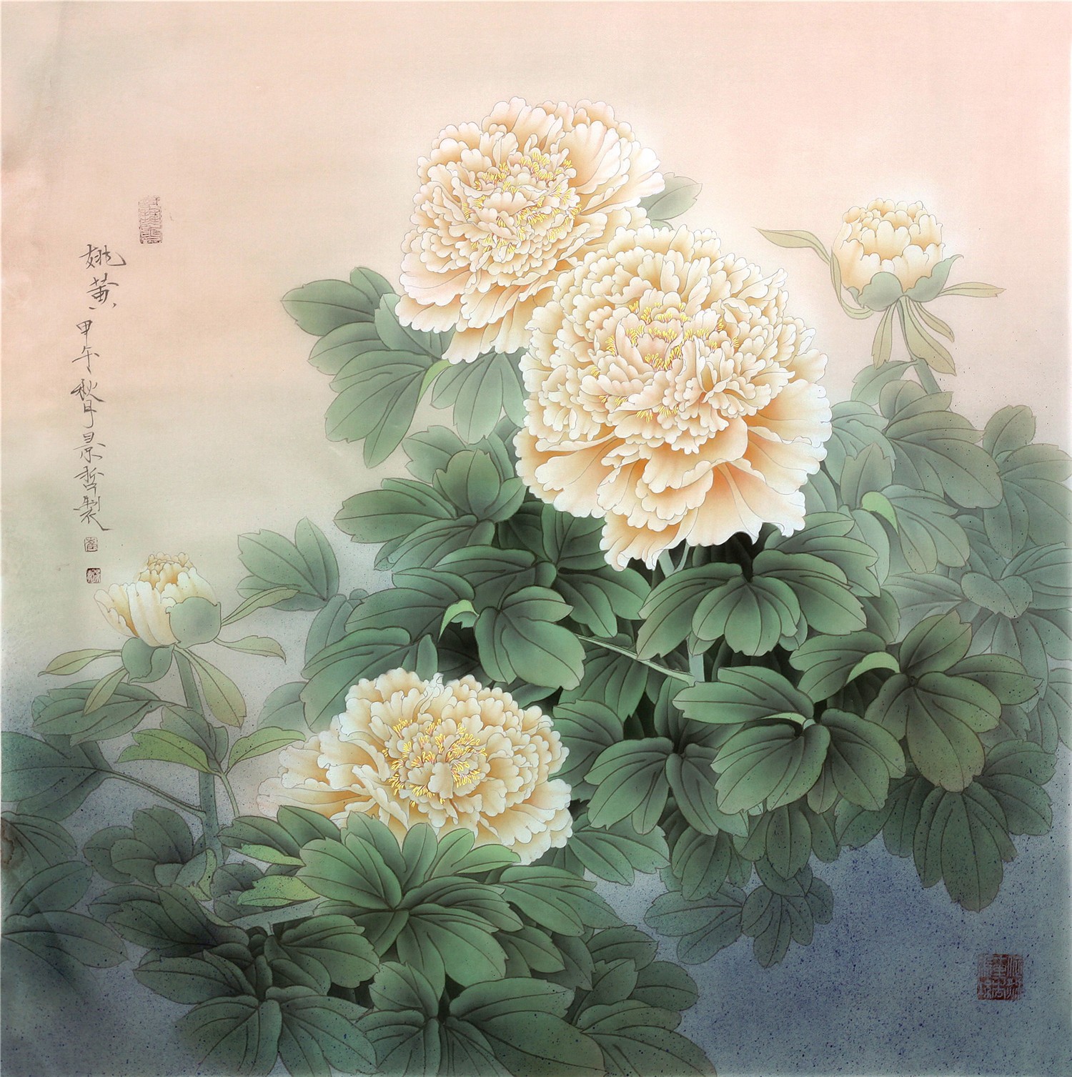 姚黄.jpg