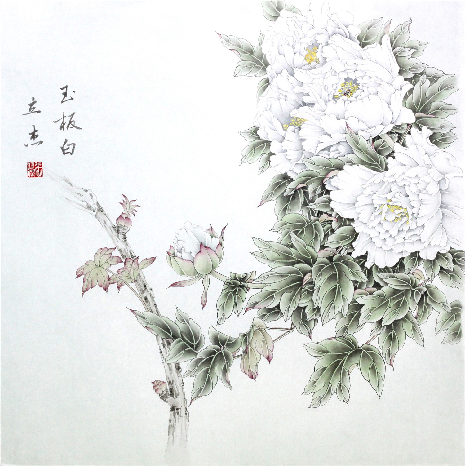 玉板白.JPG